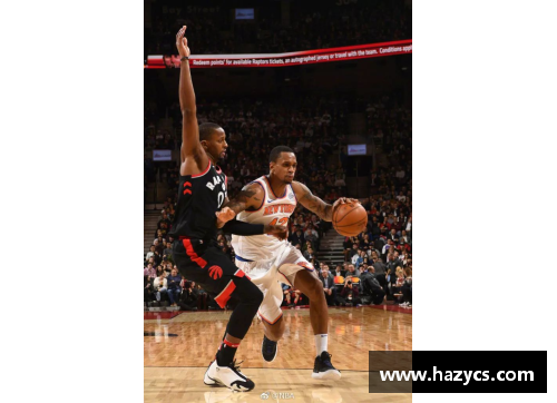 361度NBA：全方位解读篮球世界
